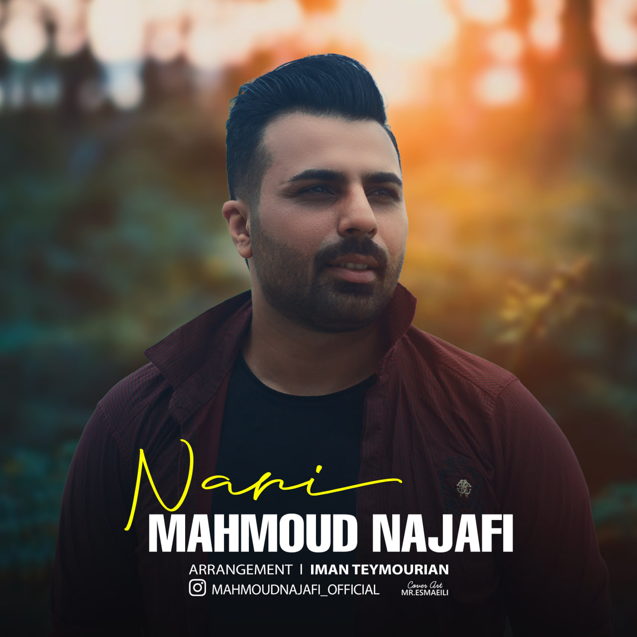 دانلود آهنگ جدید محمود نجفی به نام نری