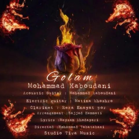 دانلود آهنگ جدید محمد کبودانی به نام گلم
